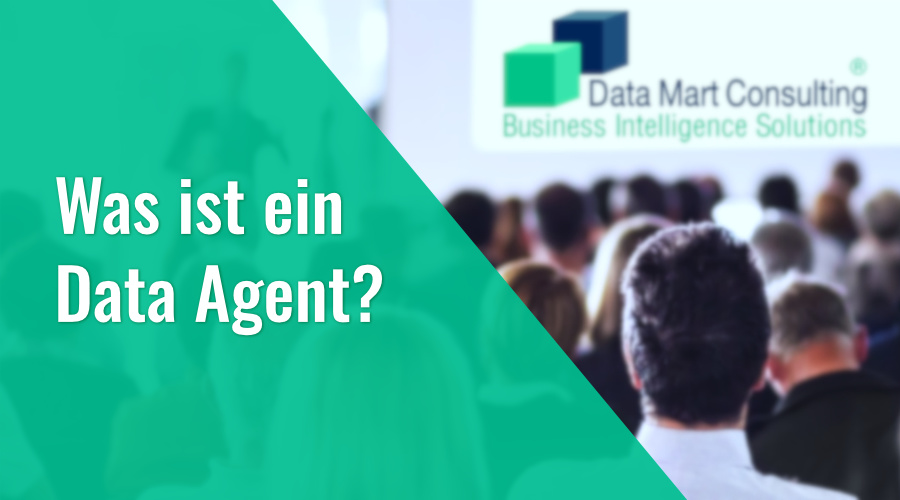 Data Agent